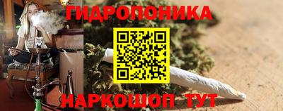 крисы Краснодар