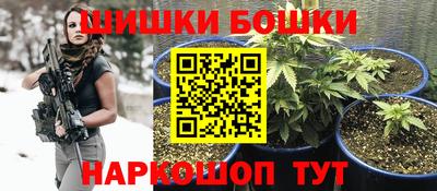 крисы Краснодар