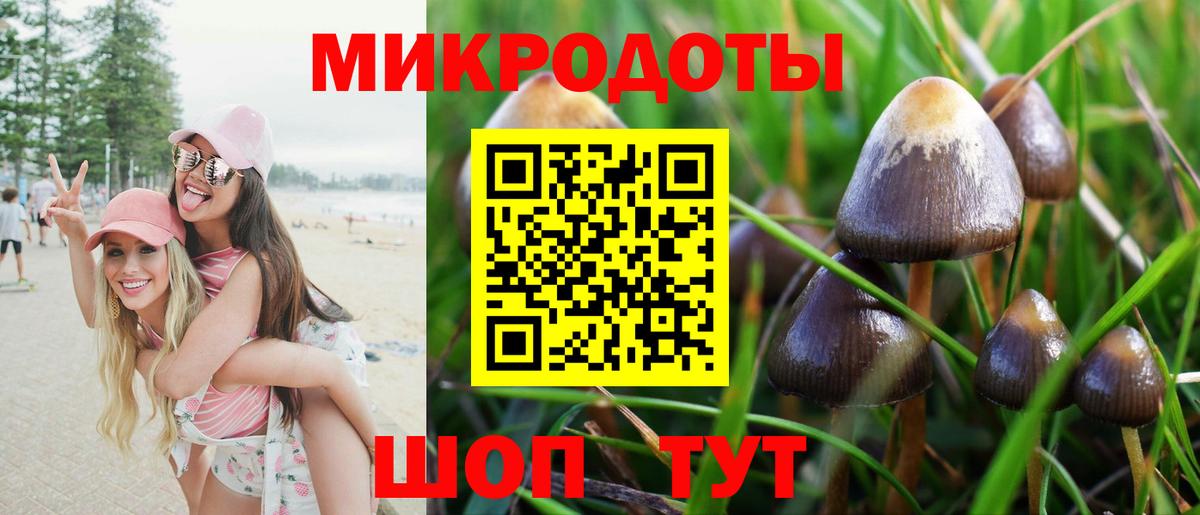 А ПВП Тара