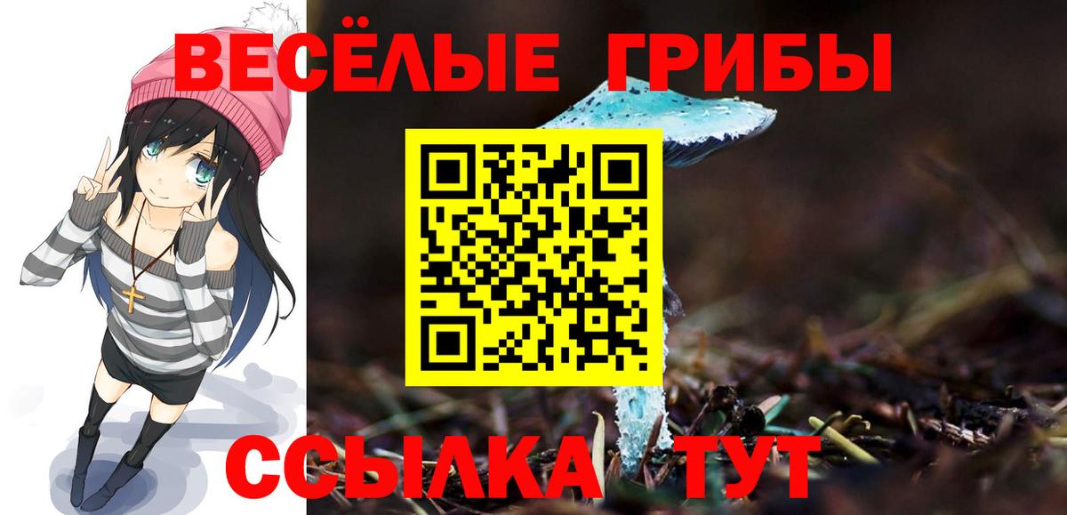 Псилоцибиновые грибы Magic Shrooms Тара